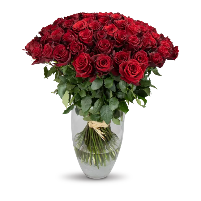 Kytice ekvádorských růží 80 cm